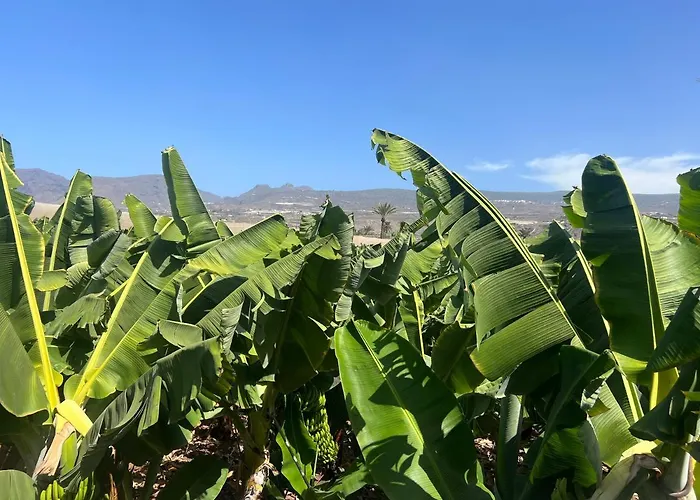 Zama Bella Vista Apartamento
